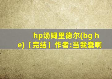 hp汤姆里德尔(bg he)【完结】作者:当我蠢啊